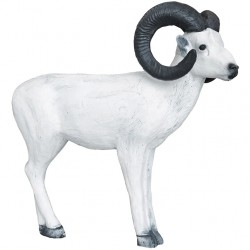 Ovce aljašská