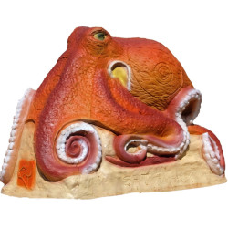 Chobotnice