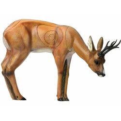Muflon ležící